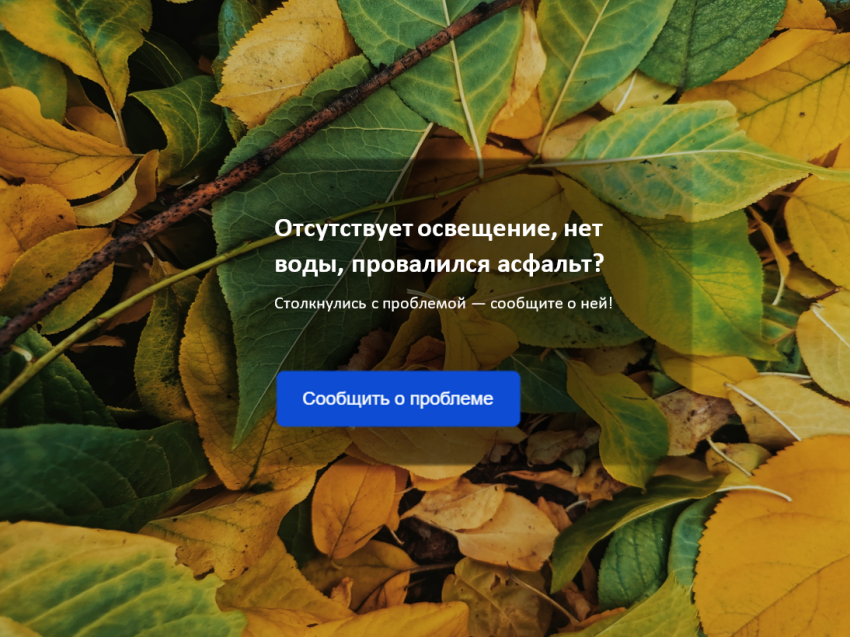 ​От сигнала до решения: итоги недели на портале обратной связи в Забайкалье